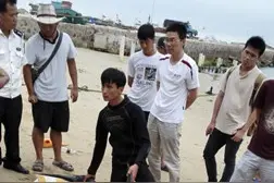 万宁多部门联手救治受伤海豚图片