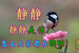 东东音乐：每天工作都很累，一个人想静静，静静又是谁？真好听！