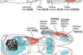 瑜伽仰卧英雄式：恢复体能的黄金体式图片