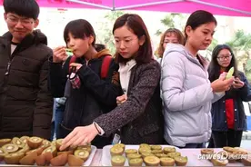 12万枚猕猴桃给学生尝 西农大精心育种助推陕西果业图片