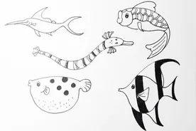 简笔画｜鱼 画画自学基础入门 幼儿画画教程视频封面