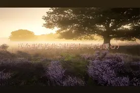 这段暖心的话送给心里彼此牵挂的人，值得看看视频封面