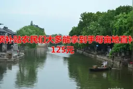 这项补贴农民们大多能拿到手，每亩地直补125元视频封面