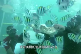 上山入海 亲近最刺进的海洋体验 来东南亚的度假胜地 这里是泰国视频封面