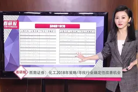 穿越牛熊，具有这些特性的化工股有翻倍潜力视频封面