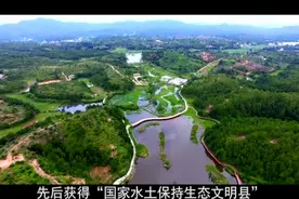 长汀：《文明满汀城》长汀创城专题宣传片12.8视频封面