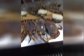 什么都不说了 一会儿等着吃就完了视频封面