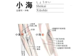 按摩小海穴位的作用图片
