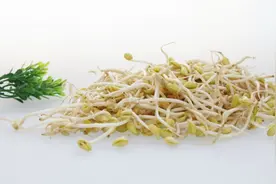吃13种食物瘦脸有奇效 让你甩掉双下巴图片