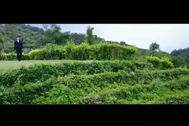 中国风水术的秘密，看风水先观察哪里最要紧，大师告诉你！视频封面