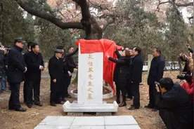 一代宗师魂归故里 京城四大名医孔伯华墓迁址孔林图片