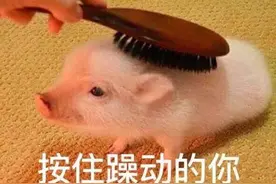 「理论课」我是疯子——有医生开的证明！图片