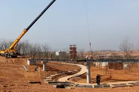 玲岗湿地公园打造城市生态新名片图片