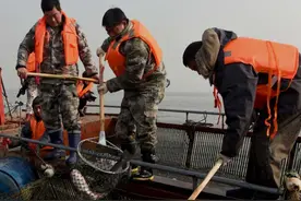 洛阳陆浑水库举办开渔节图片