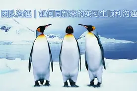 团队沟通｜如何同新来的实习生顺利沟通图片