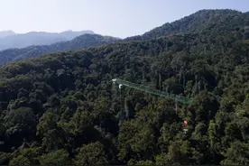 热带雨林深处的“高空实验室”图片