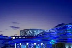 2017年开门迎客！临沂拥有世界级极地海洋世界图片