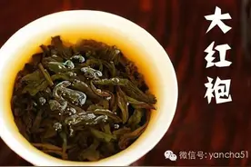 为何说大红袍是“乞丐的外表，皇帝的身价，菩萨的心肠”？图片