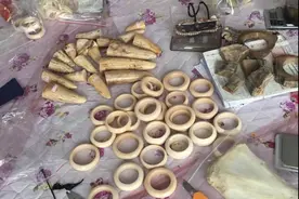 新疆森林公安破获朋友圈倒卖象牙案  20人团伙被一网打尽图片