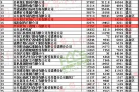 关注：淄博开发商2015[纳税榜单]图片
