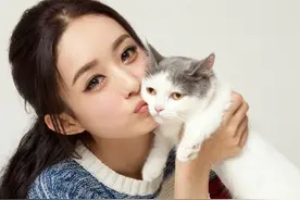 为什么他(她)们愿意呆在明星工作室?揭秘明星天价年终奖图片