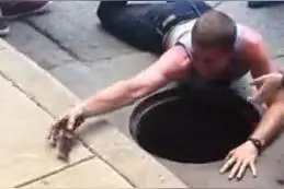超级感人，这是生命！看看外国小哥如何拯救小鸭图片