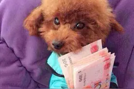 新年理财算一算 到底需要多少备用金？图片