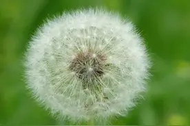 希腊罗马神话和圣经的英语典故部分撷英图片