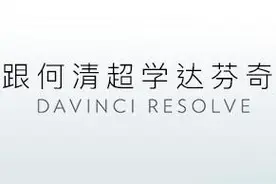 跟何清超学达芬奇图片
