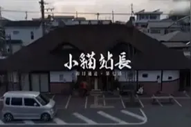 专访│猫咪站长小玉是推动日本公共交通“公有民营”的吉祥物图片