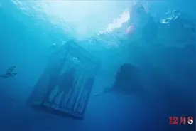 深海逃生电影《鲨海》：尊重内心的恐惧，你才能成长为有力量的人图片