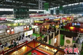 第15届深圳茶博会开幕 海内外1500多品牌茶企参展图片