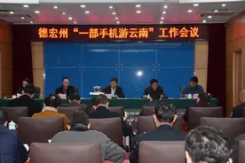 卫岗：“一部手机游云南”要作为德宏州政府“一把手”工程图片