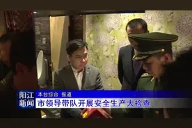 阳江市领导带队开展安全生产大检查图片