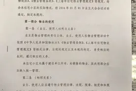 东方花园二期小区管理规约图片