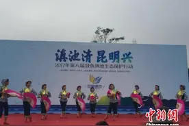 昆明10吨鱼苗放入滇池 展开“蓝藻大作战”图片
