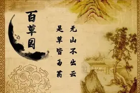 「百草园」那些“悬壶济世”的植物（三十七）迷迭香图片