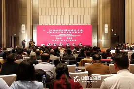 义乌市进口商会成立 黄媛丽任首届会长图片