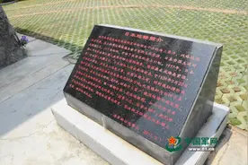 西沙纪行  永兴岛传说中的“日本炮楼"就在这里图片
