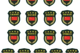 揭秘解放军“15式”系列臂章胸标图片