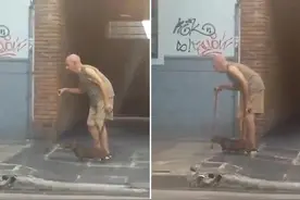 暖心一幕:狗狗陪年迈主人一起慢慢行走图片