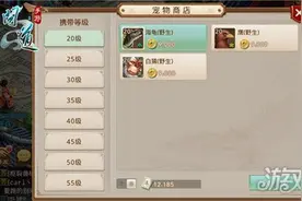 问道手游董老头商铺洗宠 天生技能等着你图片