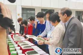 遂川县全民品茶日暨第三届狗牯脑茶王赛开启图片