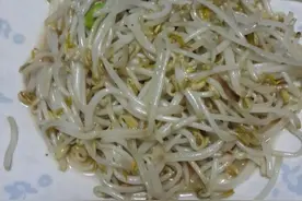 自己发绿豆芽图片