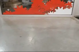 弄只蝎子在家里爬？看起来它还有点萌图片