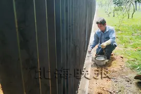 北海银滩景区为加大保护力度建围栏进行封闭管理图片