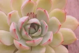 整理心态，从心出发图片