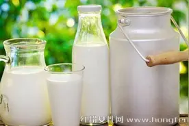 菠菜黄瓜白萝卜 春季降火就吃这些图片