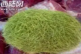 男子杀猪在其胃里取出这物竟价值千万图片