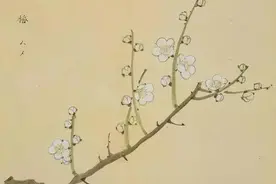 《诗经》：不只爱情，还有人生图片